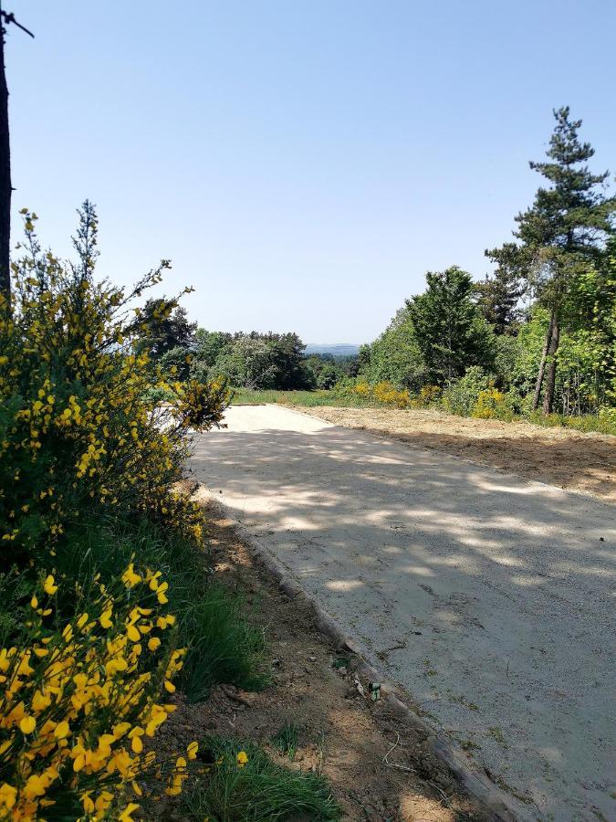 Saint-AgrèveChez Marius别墅 外观 照片
